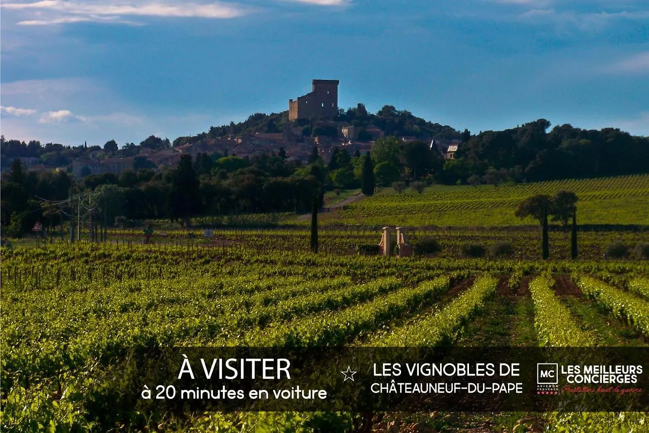 Luxueuse Villa Avec Spa De Nage Villeneuve-les-Avignon