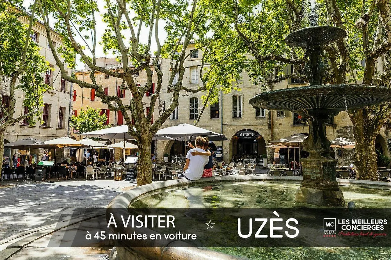 Luxueuse Villa Avec Spa De Nage Villeneuve-les-Avignon 0*,